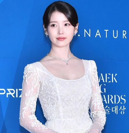 第61回百想芸術大賞レッドカーペットを飾った韓国アクターのファッションをプレイバック