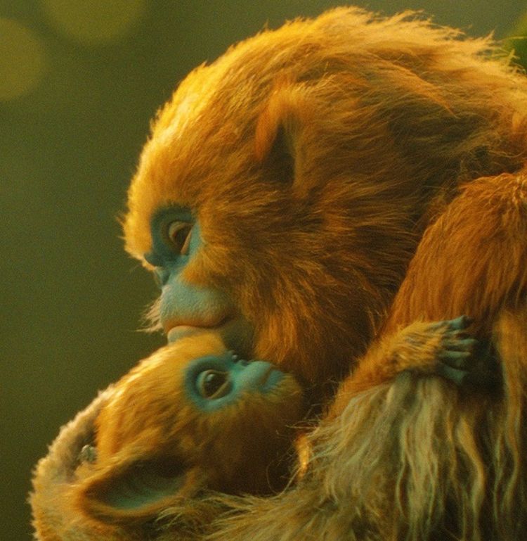 「『となりのトトロ』から影響を受けた」MV界の異才が語る、A24とタッグを組んだ『OCHI！-オチ-』のインスピレーションの原点とは？