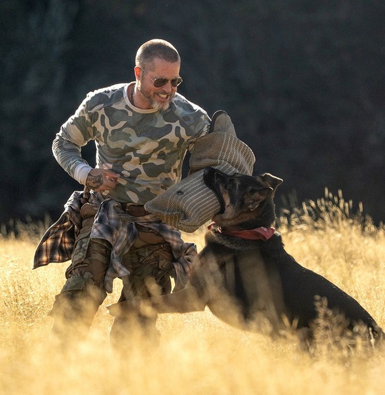 ブラッド・ピット主演『ハート・オブ・ビースト』退役軍人と義足の元軍用偵察犬の絆を収めた本予告＆場面写真