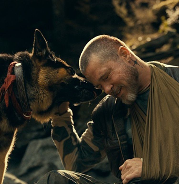ハリウッドきっての犬好き！『ハート・オブ・ビースト』の熱演も納得のブラピの愛犬家伝説