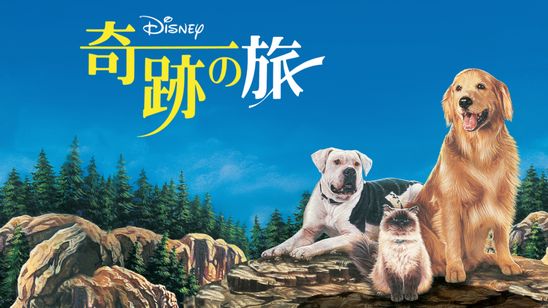 奇跡の旅 メイン画像