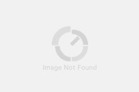 シングルス メイン画像