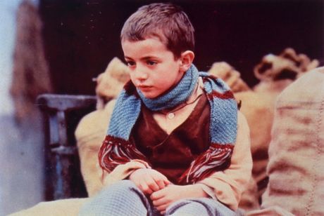 木靴の樹 メイン画像