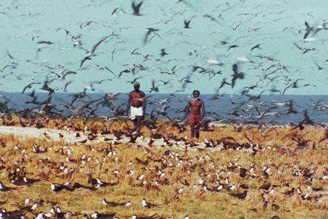 世界残酷物語 メイン画像