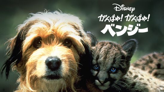 がんばれ！がんばれ！ベンジー メイン画像