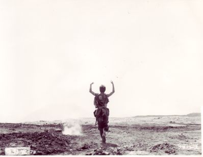 野火(1959) メイン画像