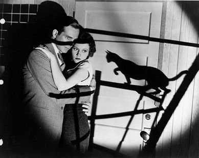 黒猫 メイン画像