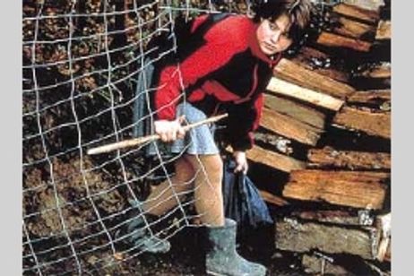 ロゼッタ メイン画像