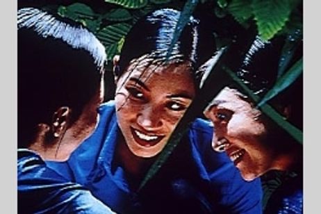 夏至 メイン画像