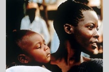 ABCアフリカ メイン画像