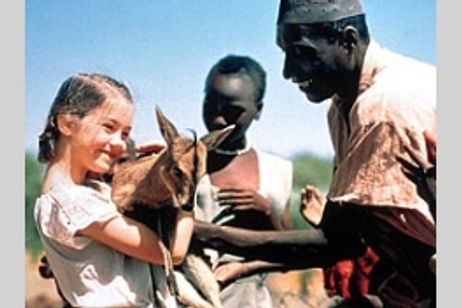 名もなきアフリカの地で メイン画像