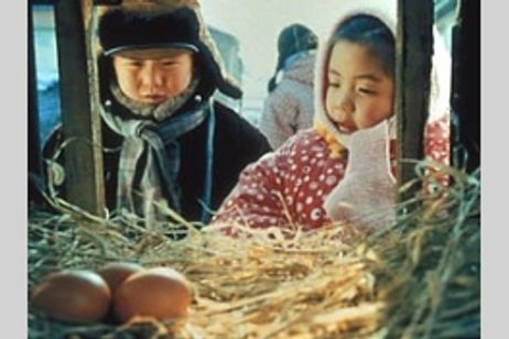 再見(ツァイツェン) また逢う日まで メイン画像