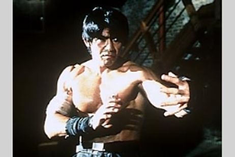 シャドー・フューリー メイン画像