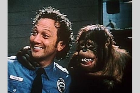 アニマルマン メイン画像