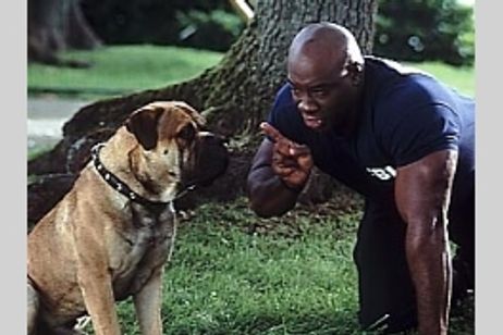 スポット メイン画像