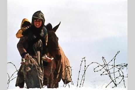 酔っぱらった馬の時間 メイン画像