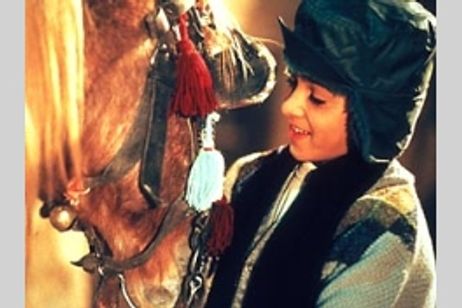 風の絨毯 メイン画像