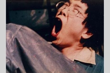 イヌ メイン画像