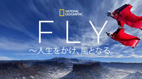 ＦＬＹ メイン画像