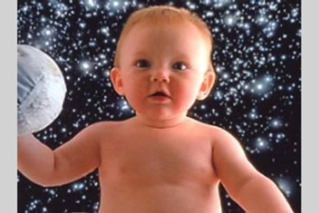 ナコイカッツィ メイン画像