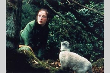 ネコのミヌース メイン画像