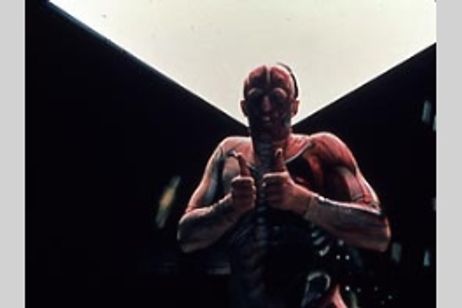 ホネツギマン メイン画像