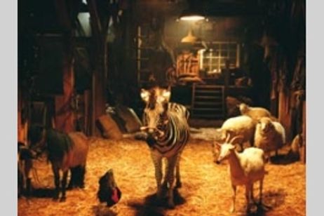 レーシング・ストライプス メイン画像