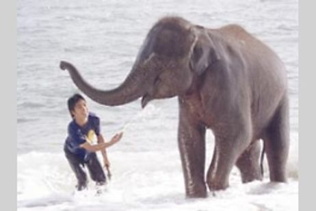 星になった少年　Shining Boy ＆ Little Randy メイン画像