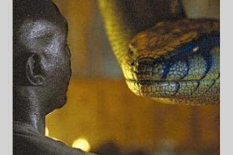 アナコンダ2 メイン画像