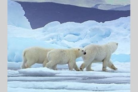 ホワイト・プラネット メイン画像