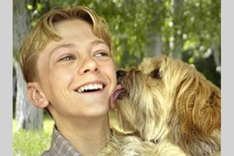 ラブいぬ　ベンジー　はじめての冒険 メイン画像