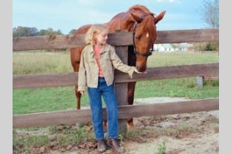 夢駆ける馬ドリーマー メイン画像