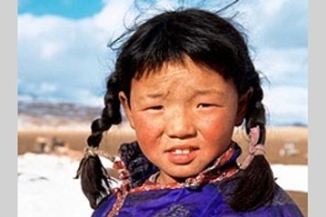 プージェー メイン画像