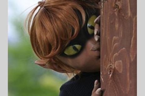 猫目小僧 メイン画像