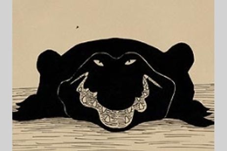 年をとった鰐 メイン画像