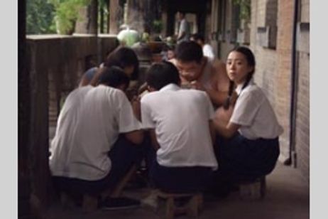 孔雀 我が家の風景 メイン画像