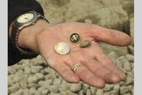 マッシュルーム・クラブ メイン画像