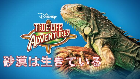 砂漠は生きている メイン画像