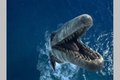 シーモンスター デジタル3-D メイン画像