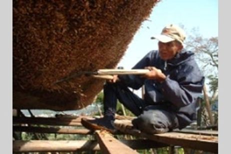 藝州かやぶき紀行 メイン画像