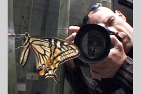 1000の言葉よりも　報道写真家ジブ・コーレン メイン画像