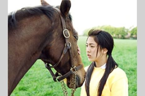 三本木農業高校、馬術部 盲目の馬と少女の実話 メイン画像