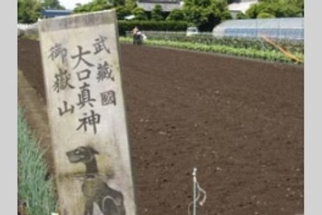 オオカミの護符 メイン画像