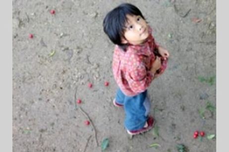 さくらんぼ　母ときた道 メイン画像