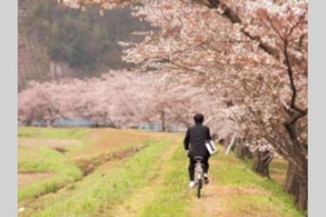 うん、何？ メイン画像