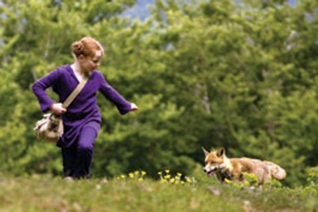 きつねと私の12か月 メイン画像