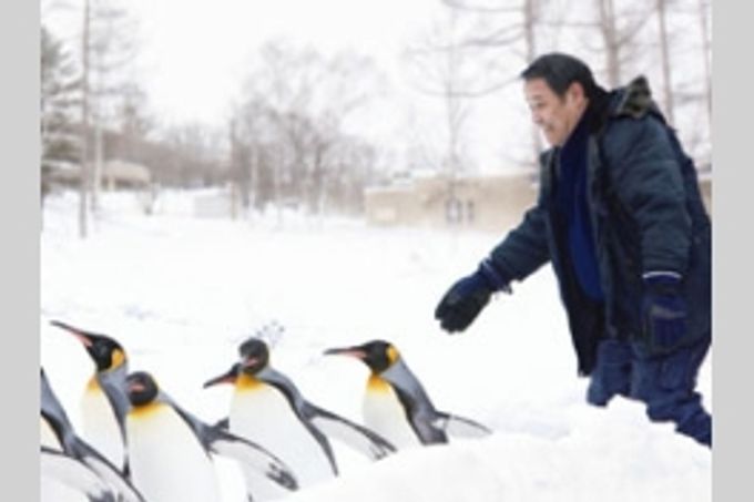 旭山動物園物語 ペンギンが空をとぶ