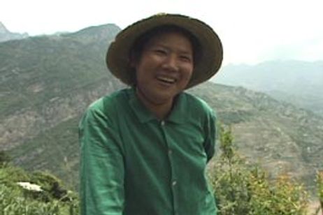 長江にいきる 秉愛(ビンアイ)の物語 メイン画像