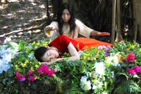 真夏の夜の夢 メイン画像