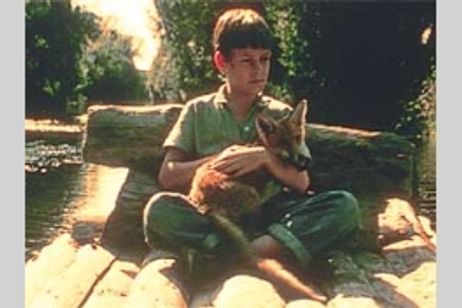 コーンウォールの森へ メイン画像